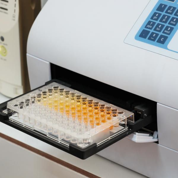 ELISA plate loaded into plate reader_square